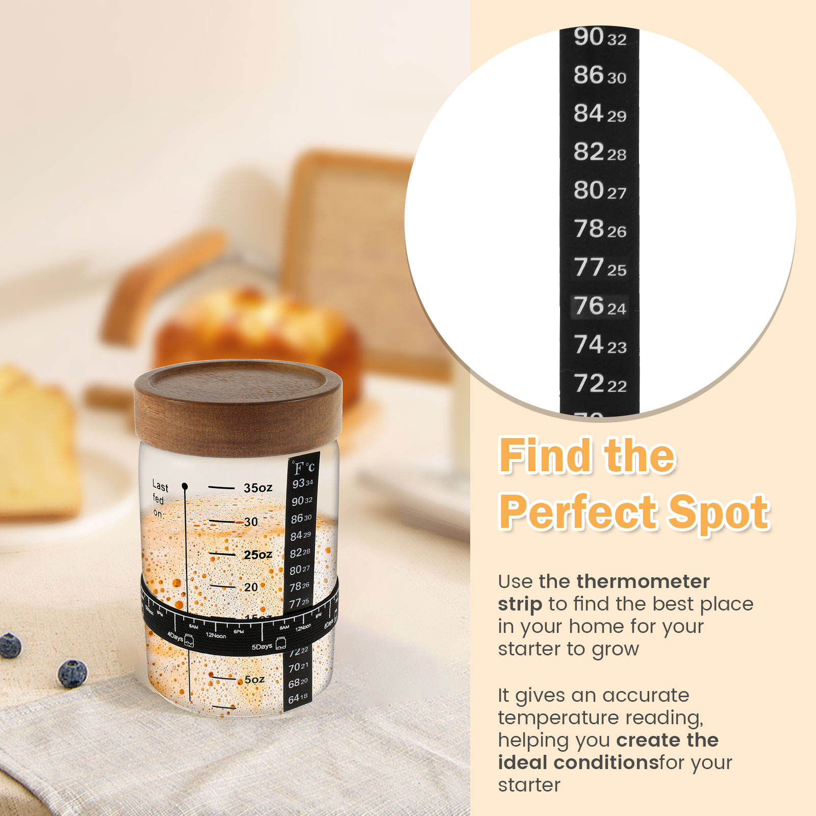 Kit barattolo di avviamento a  - Kitchen Baking Storage Containers recensione e prezzo